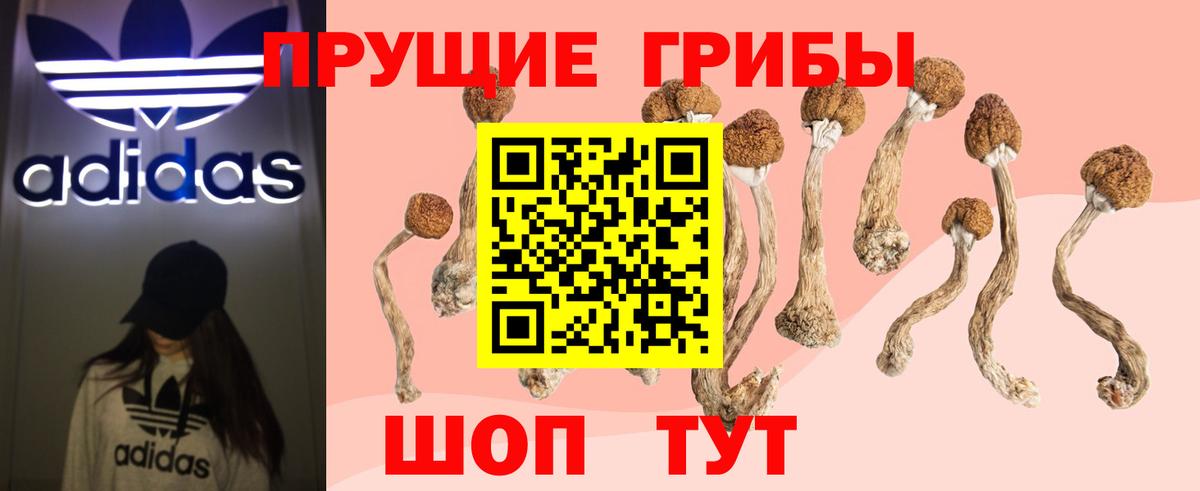 Кимры  купить   Вход с VPN  Псилоцибиновые грибы Psilocybine cubensis 